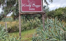 Woolly Bugger Farm